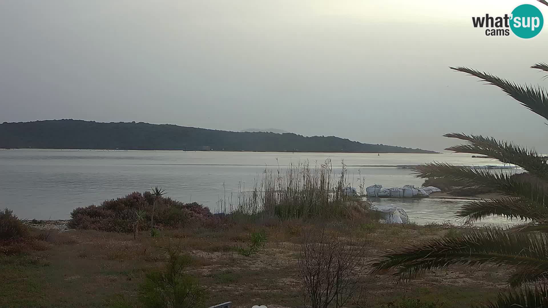 Webcam porto di Olbia – entrata nel porto di Olbia