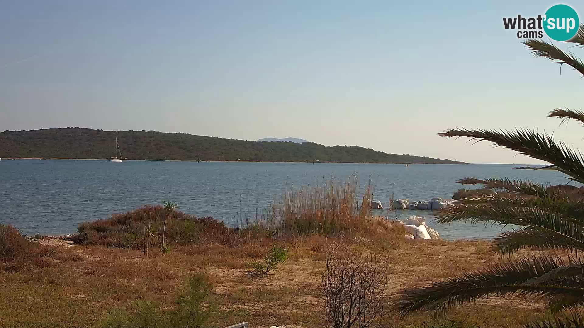 Webcam Olbia port – entrance to the port of Olbia