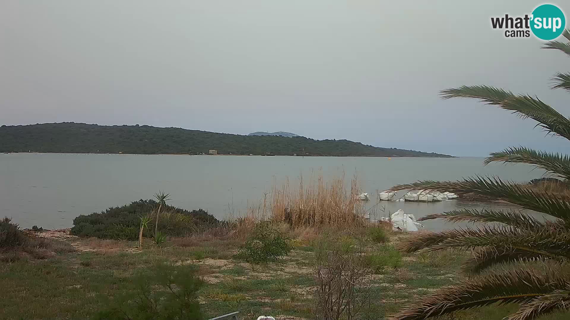 Webcam Hafen Olbia – Eingang zum Hafen von Olbia