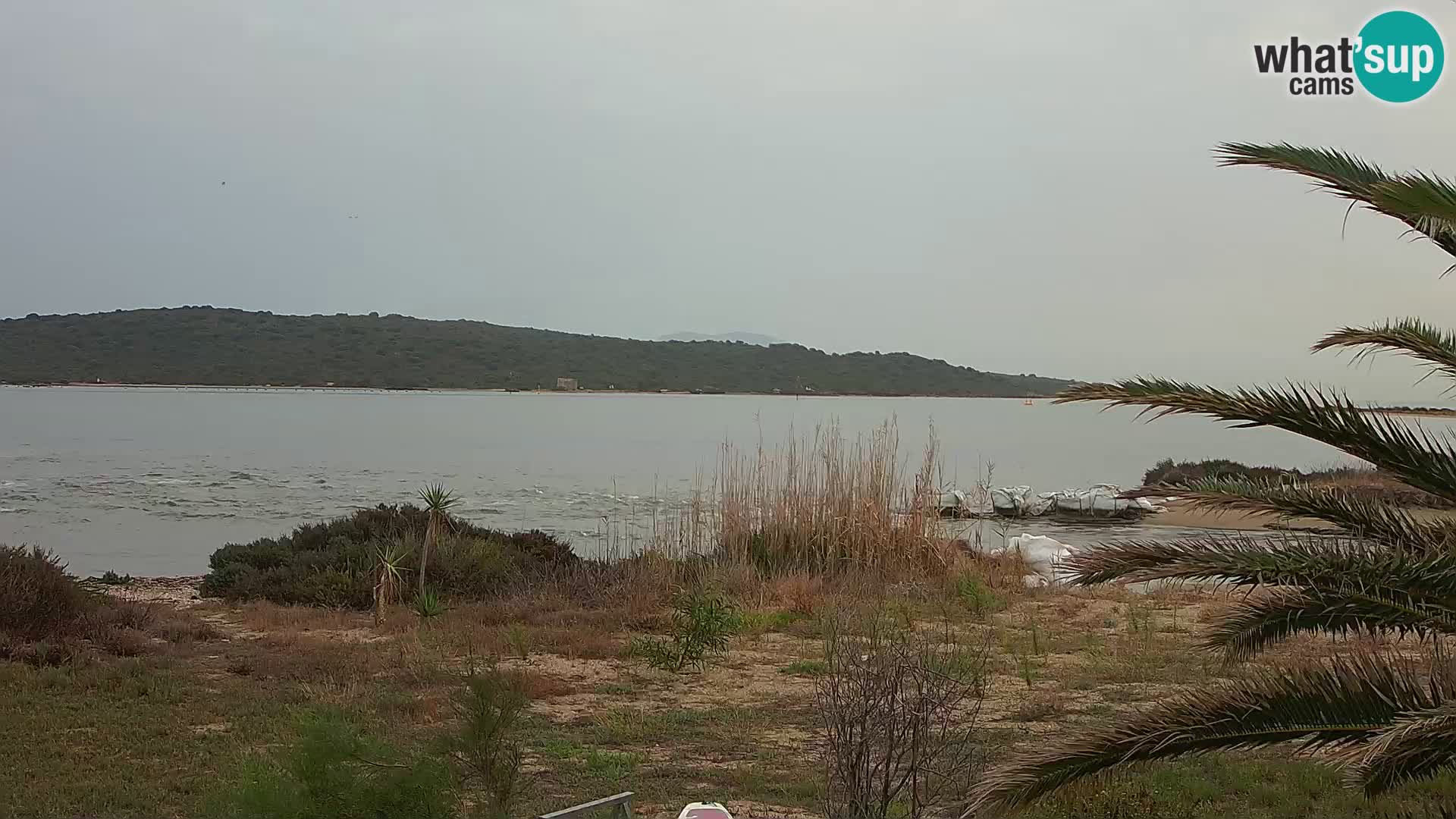 Webcam Olbia port – entrance to the port of Olbia