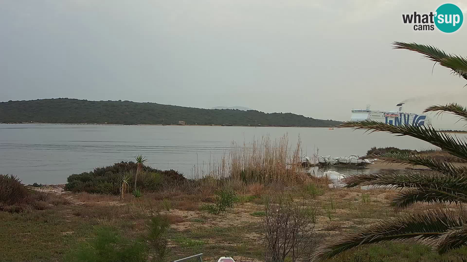 Webcam Hafen Olbia – Eingang zum Hafen von Olbia