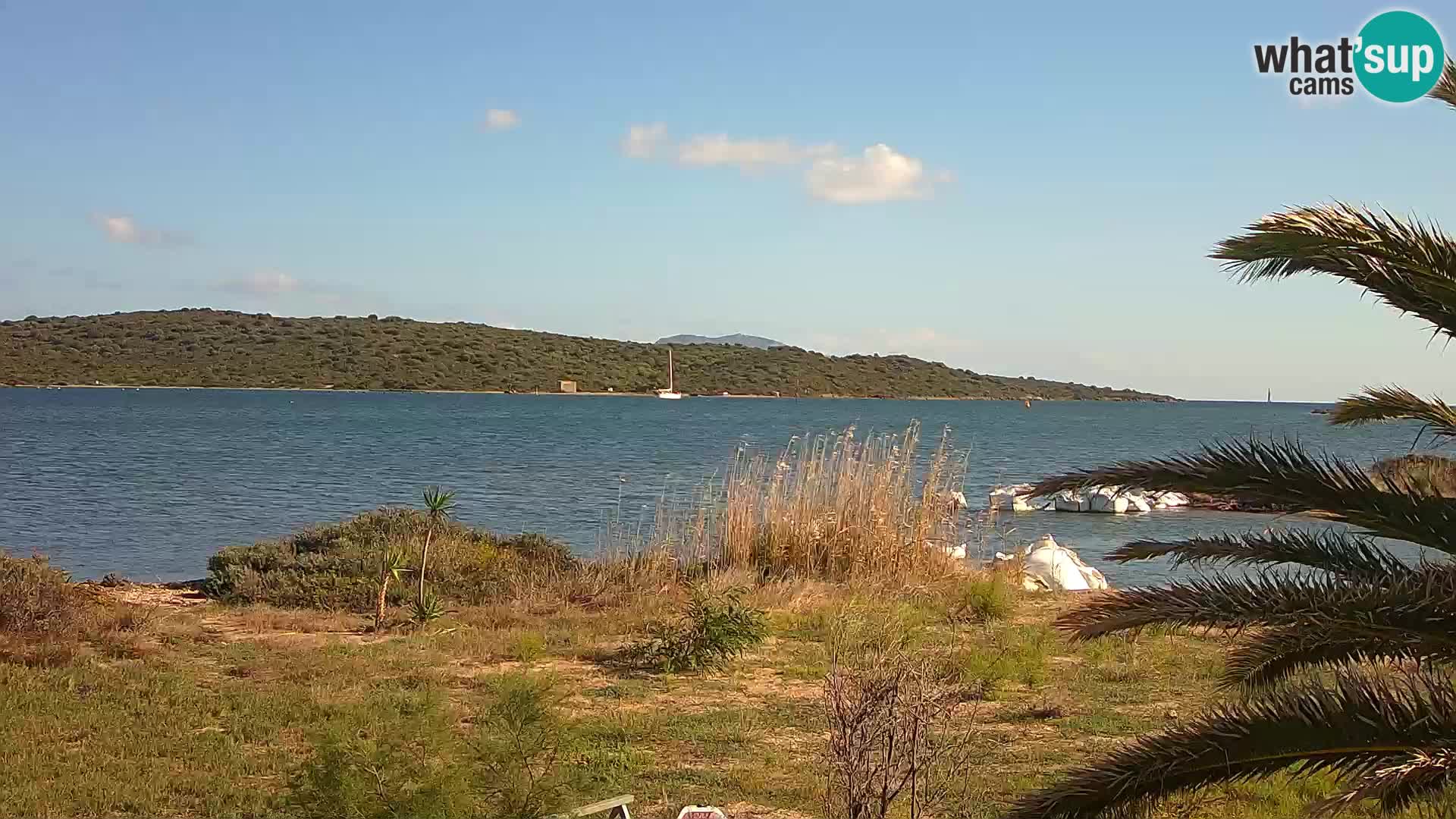 Spletna kamera pristanišče Olbia – vhod v pristanišče Olbia