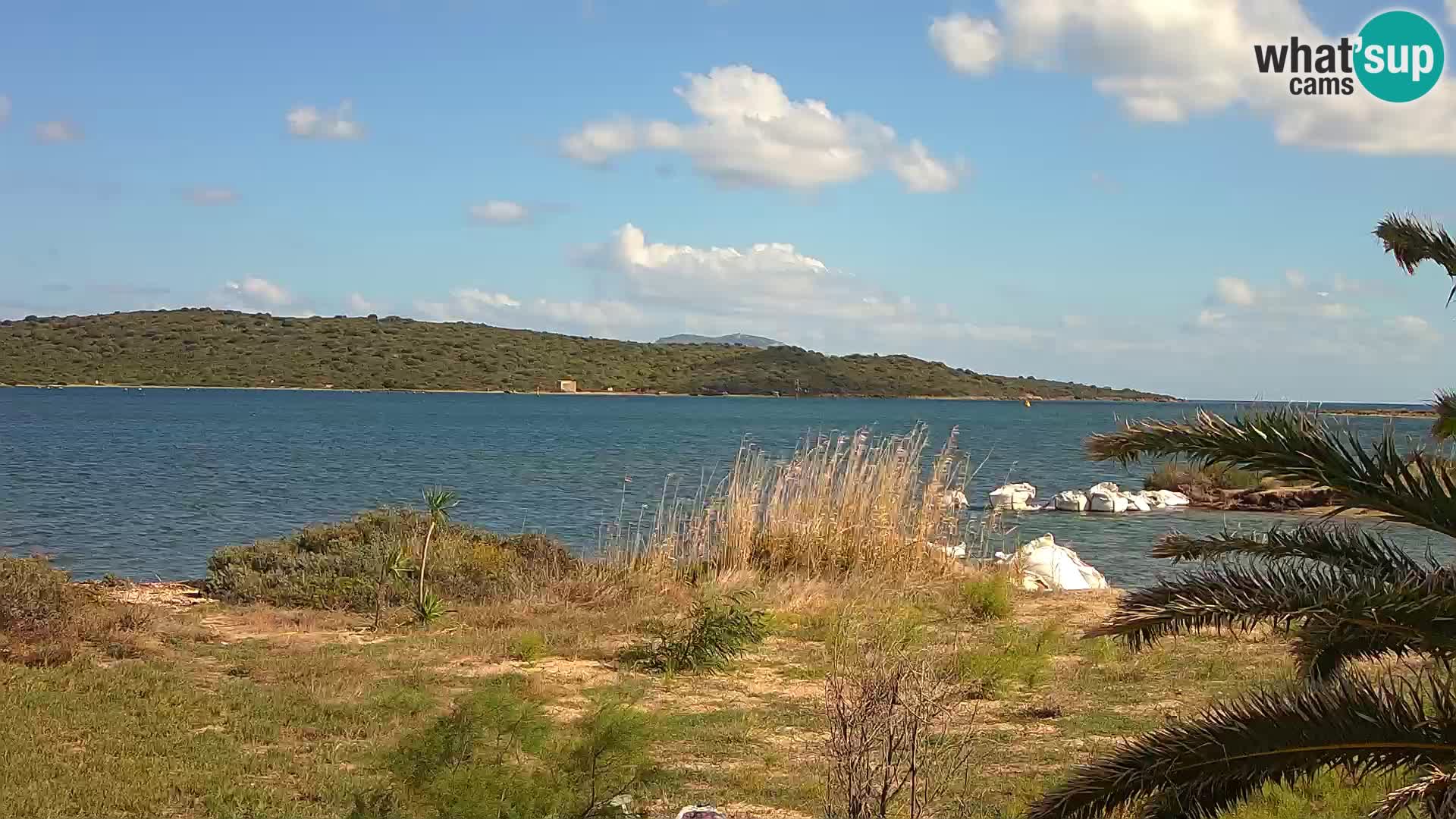 Camera web puerto de Olbia – entrada al puerto de Olbia