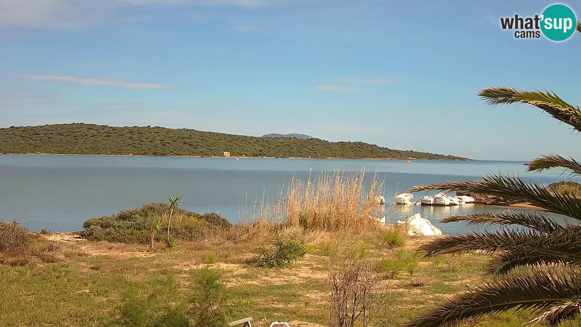 Webcam porto di Olbia – entrata nel porto di Olbia