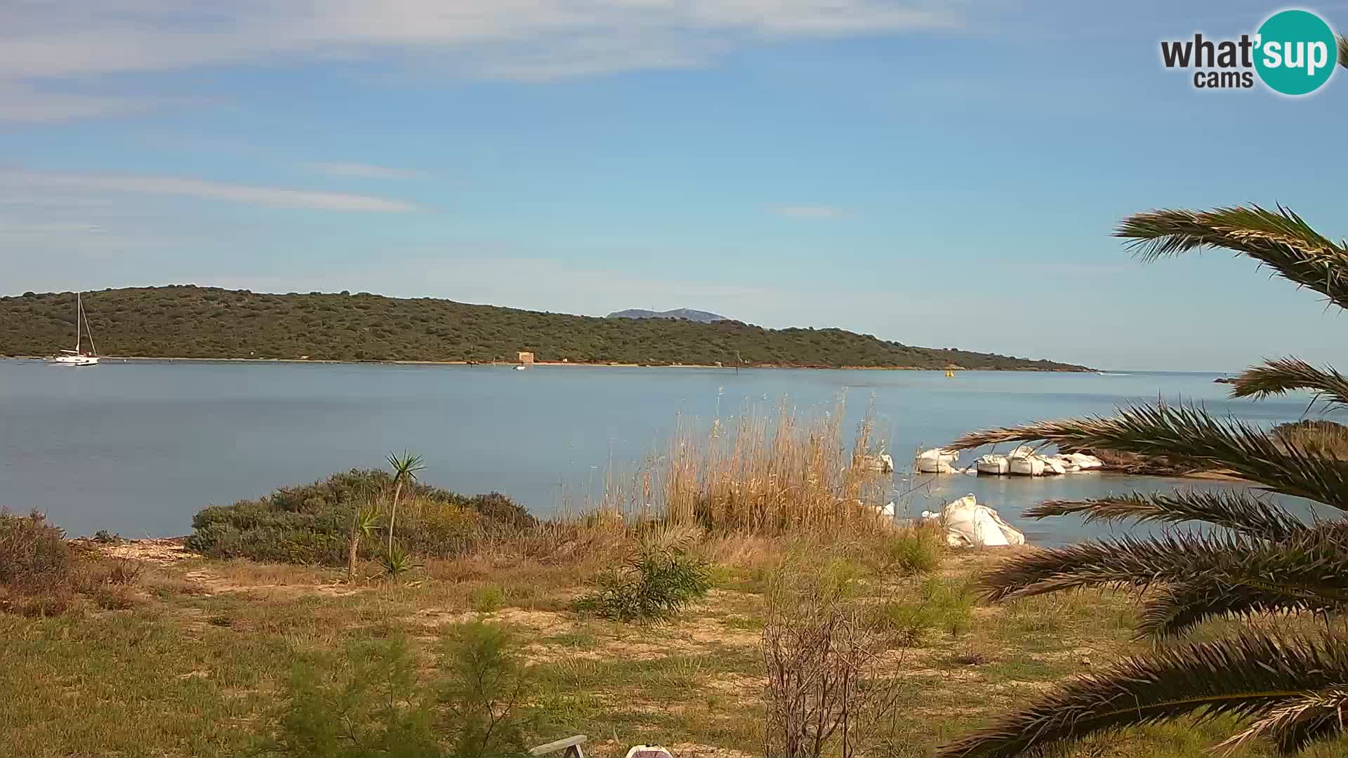 Webcam Olbia port – entrance to the port of Olbia