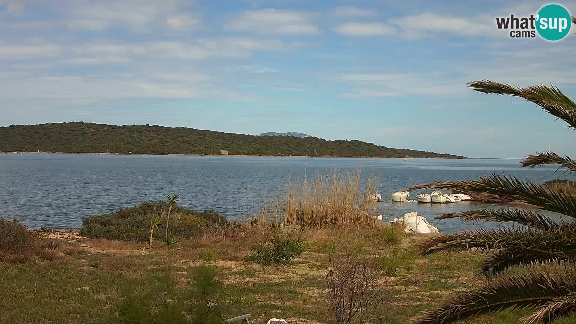 Camera web puerto de Olbia – entrada al puerto de Olbia