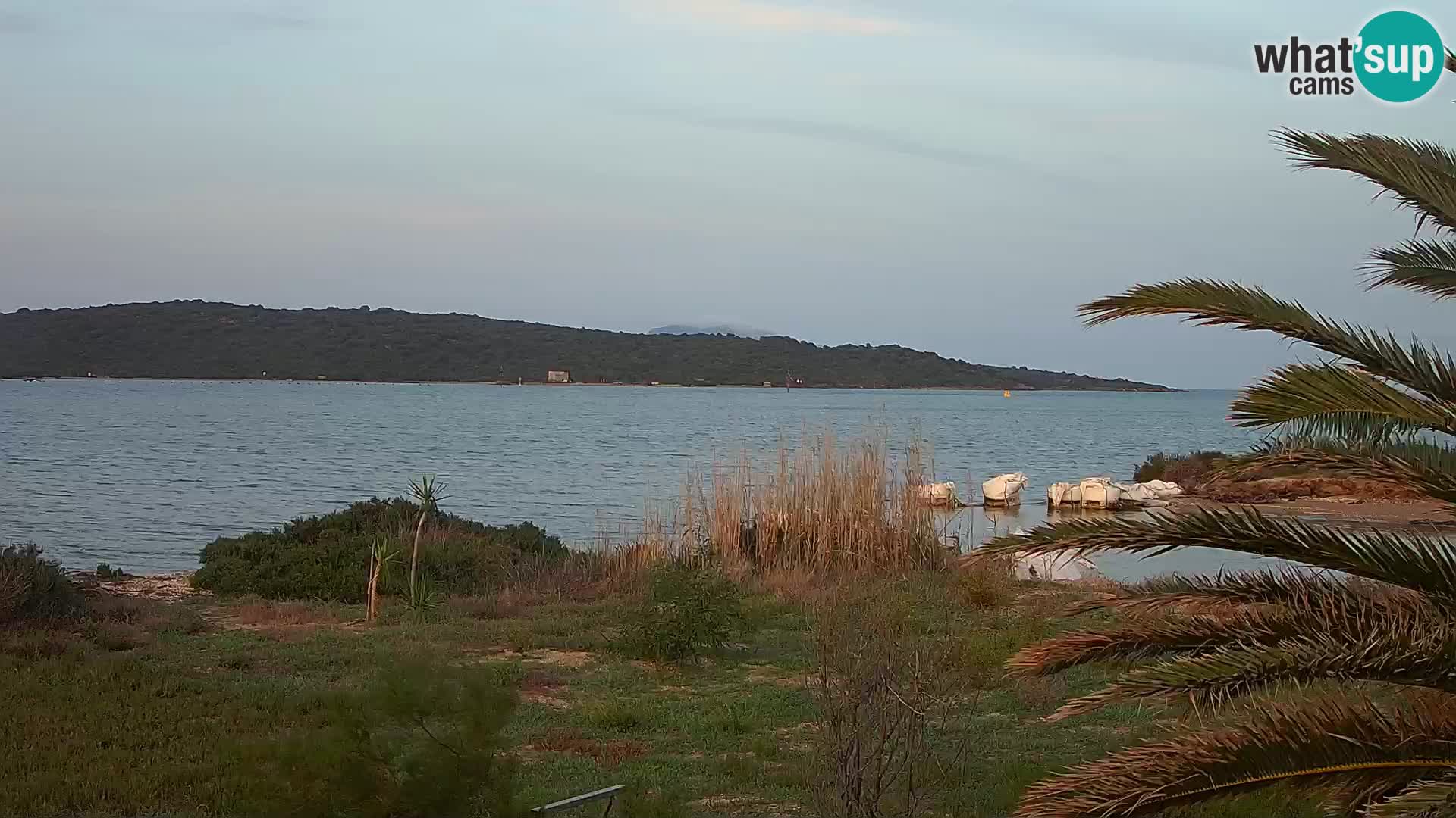 Webcam porto di Olbia – entrata nel porto di Olbia