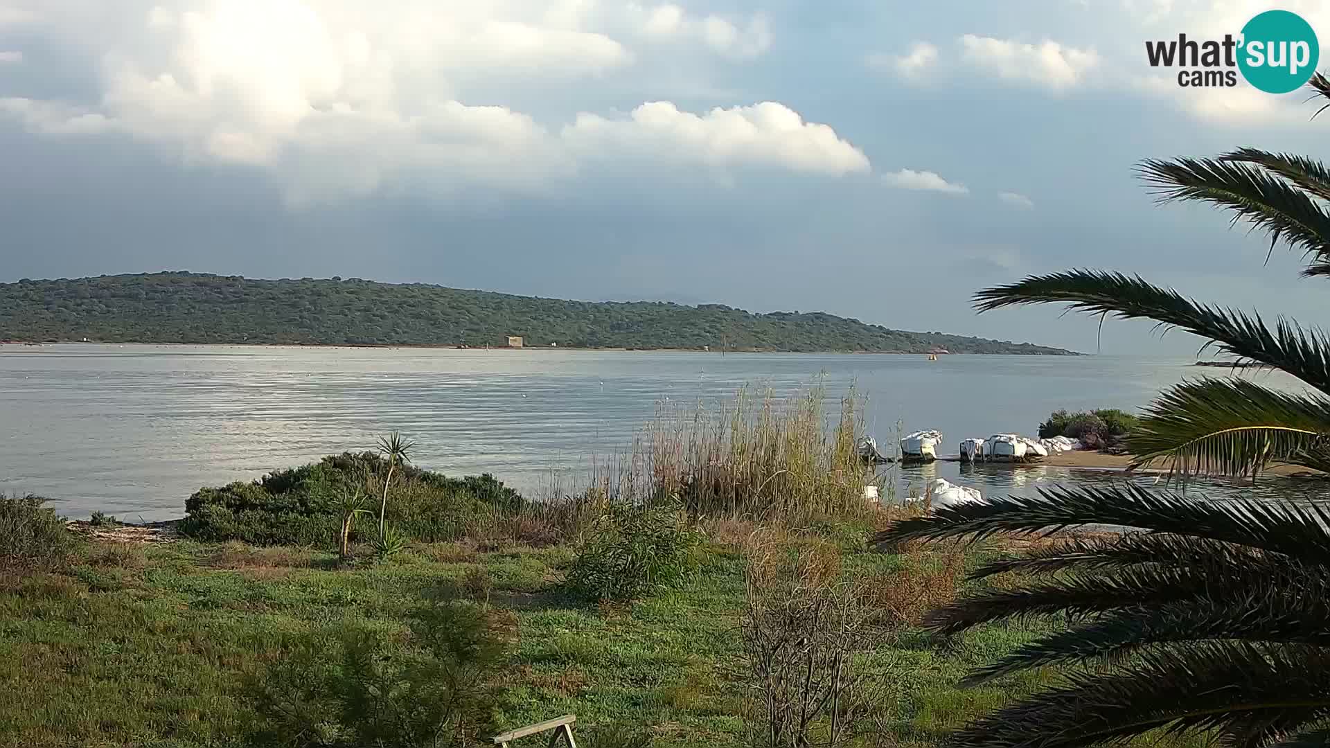 Webcam Olbia port – entrance to the port of Olbia