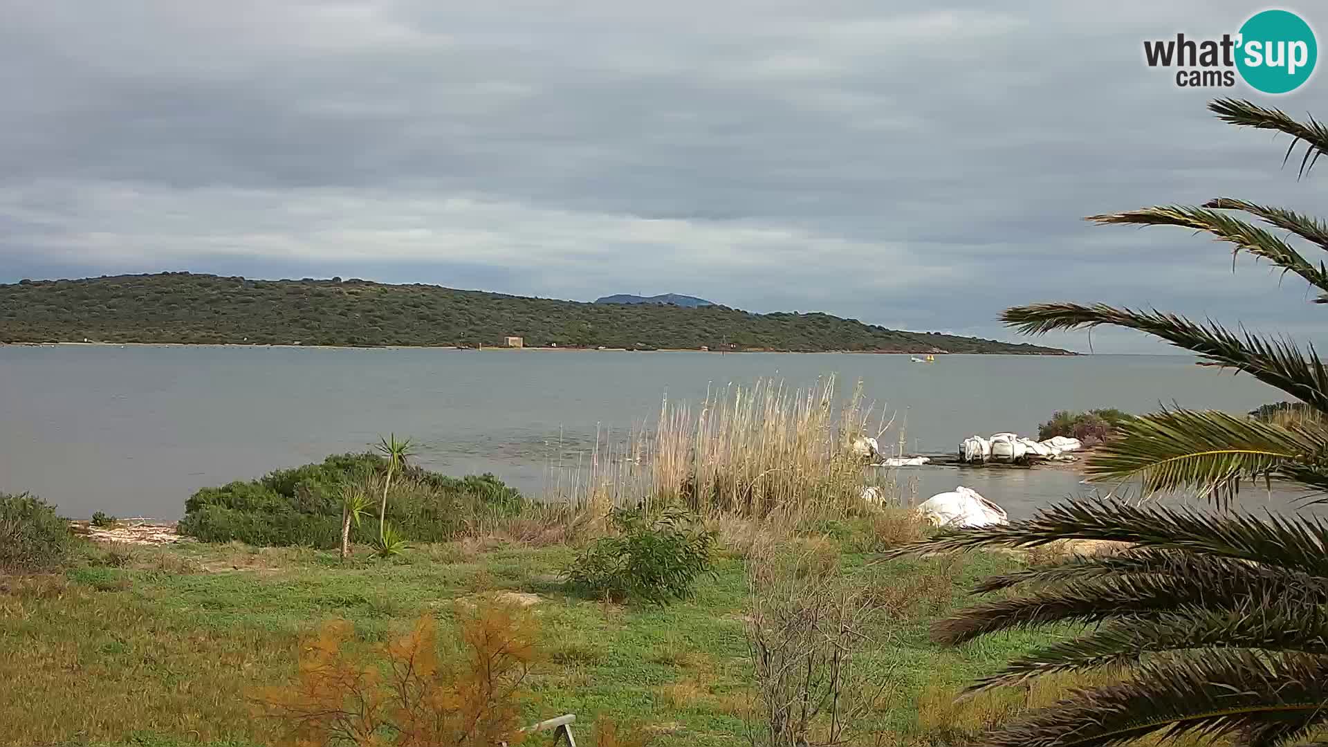 Spletna kamera pristanišče Olbia – vhod v pristanišče Olbia