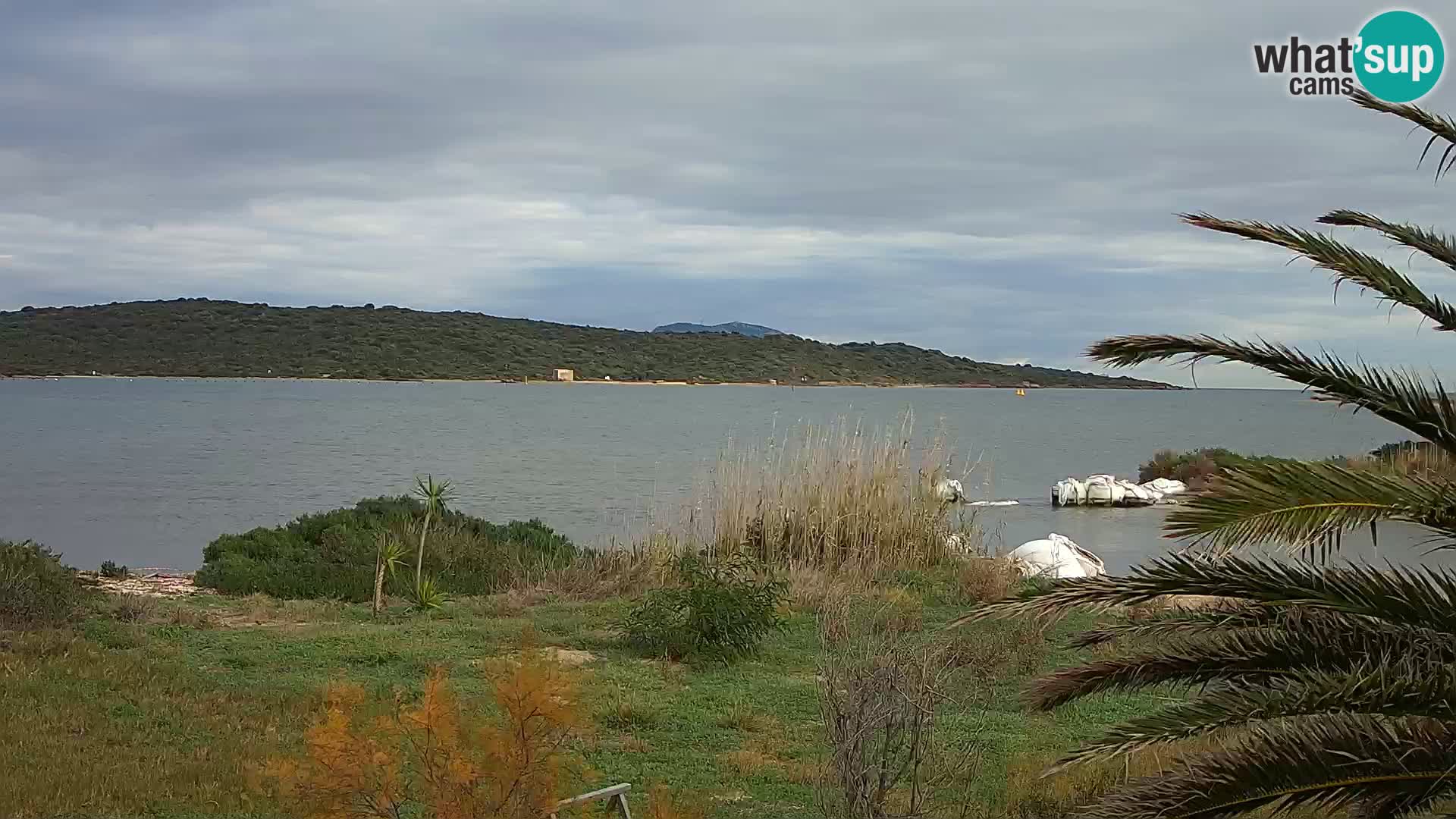 Spletna kamera pristanišče Olbia – vhod v pristanišče Olbia