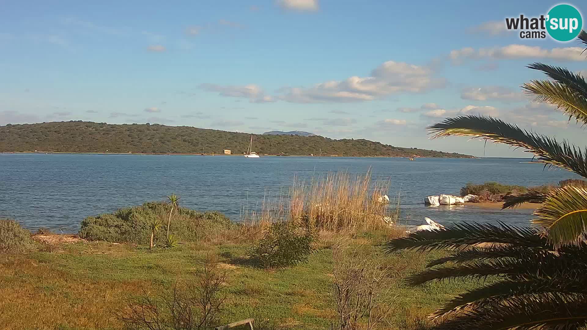 Webcam Olbia port – entrance to the port of Olbia