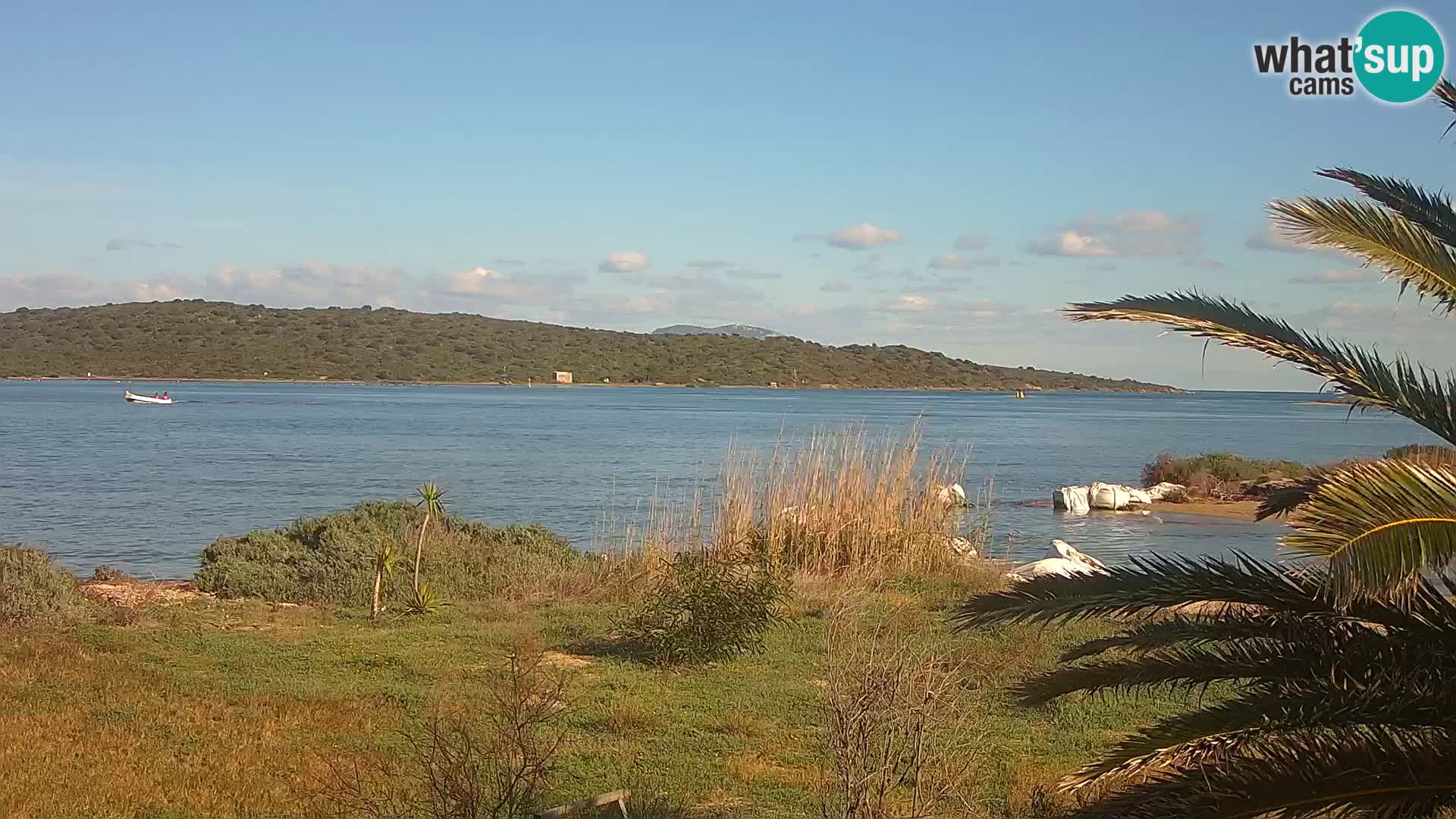 Webcam Olbia port – entrance to the port of Olbia