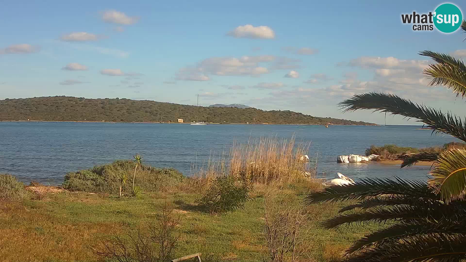 Webcam Olbia port – entrance to the port of Olbia