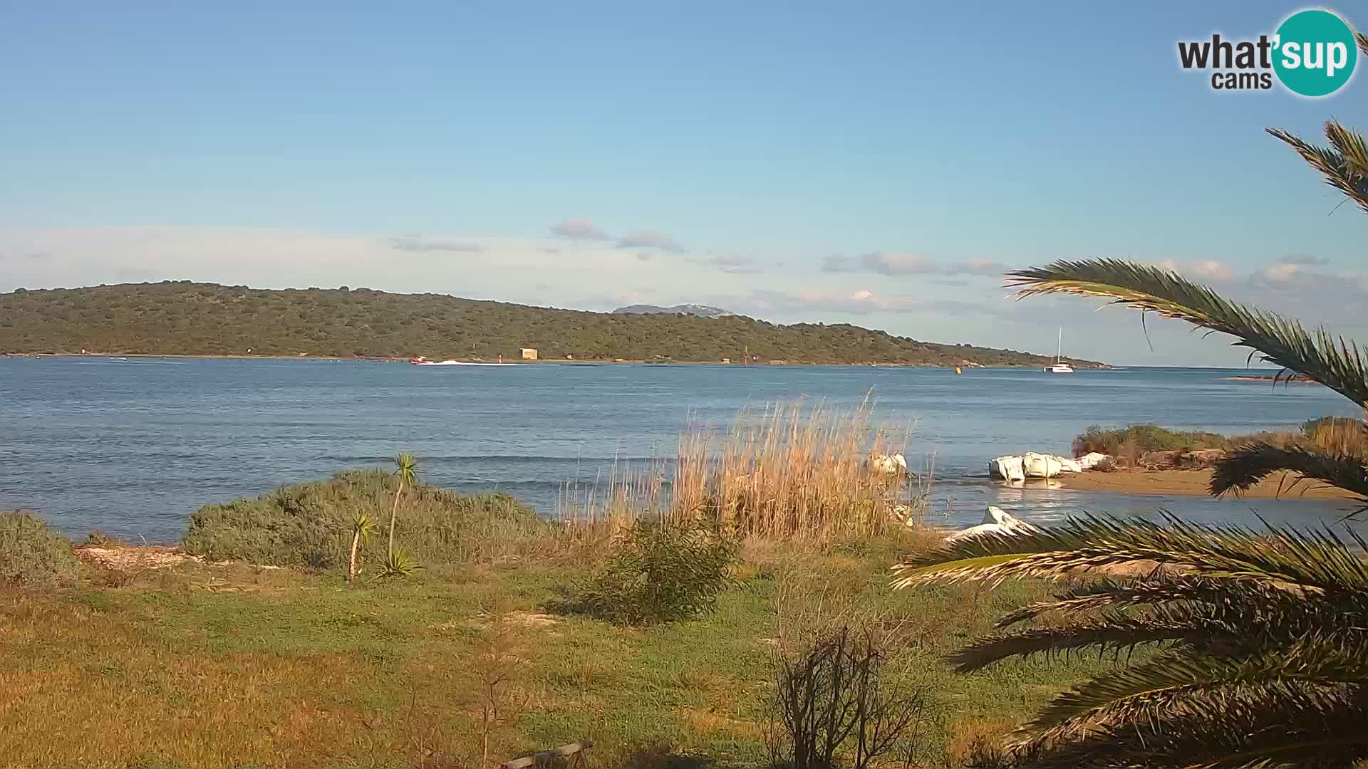 Webcam Olbia port – entrance to the port of Olbia