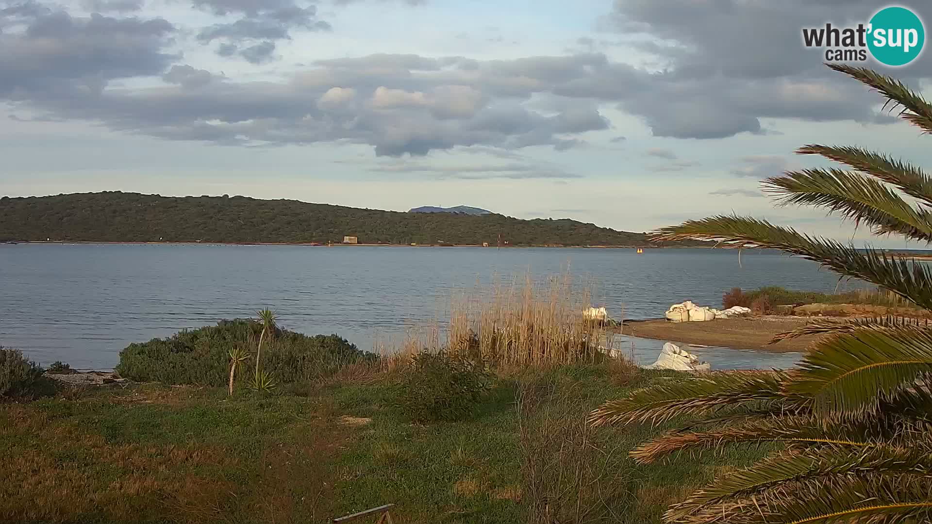 Webcam Hafen Olbia – Eingang zum Hafen von Olbia