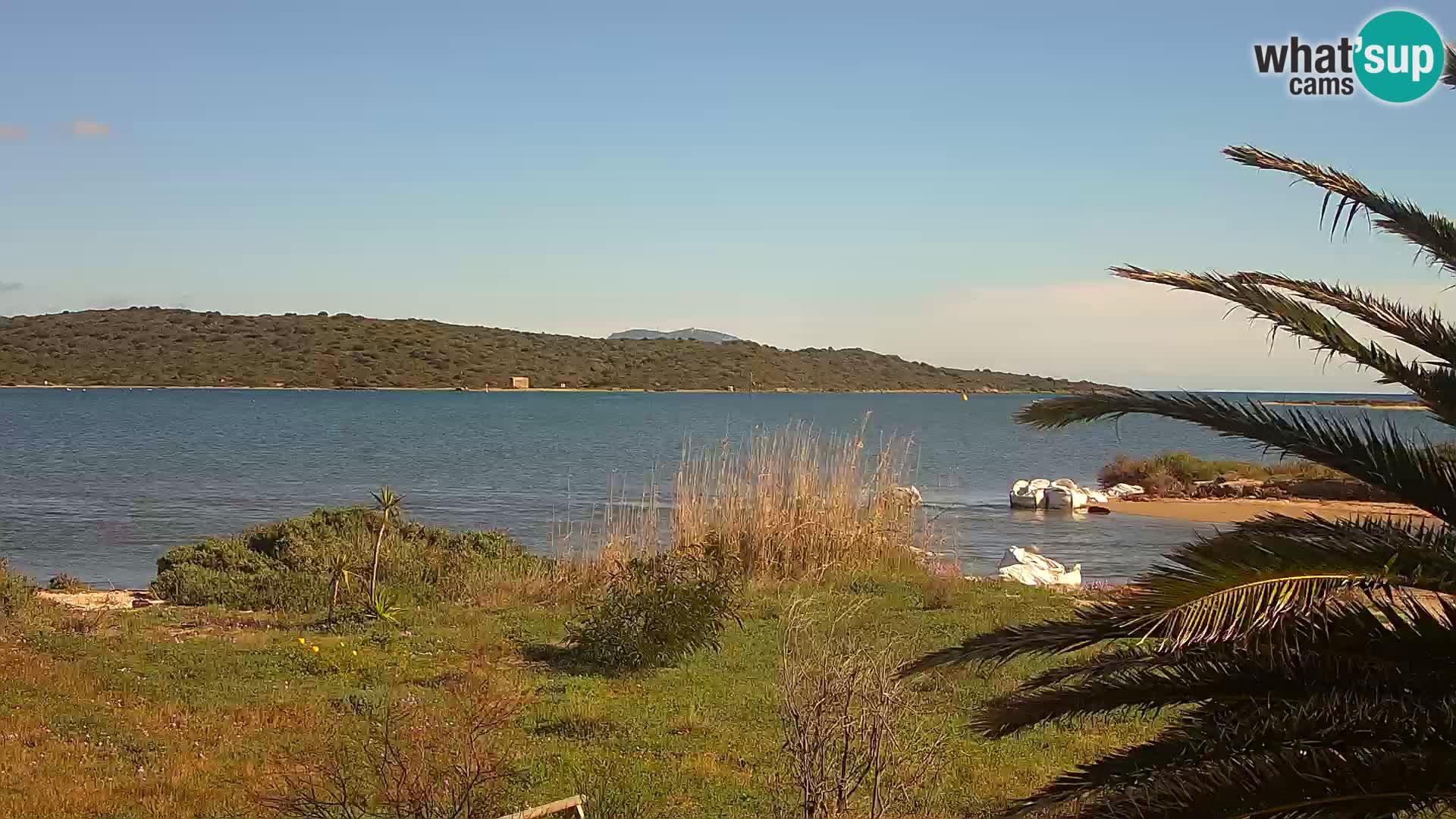 Webcam Olbia port – entrance to the port of Olbia