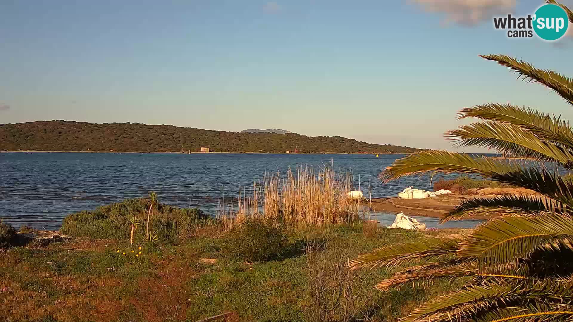 Webcam Hafen Olbia – Eingang zum Hafen von Olbia