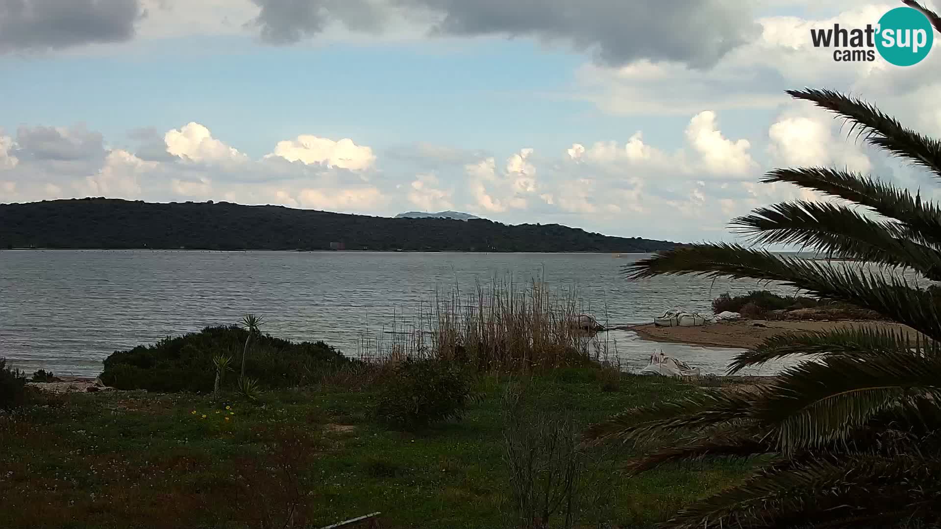 Webcam porto di Olbia – entrata nel porto di Olbia