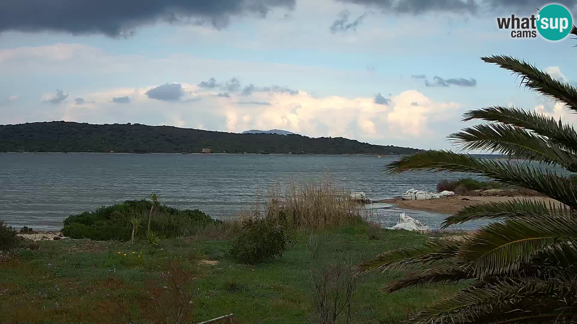 Webcam Olbia port – entrance to the port of Olbia