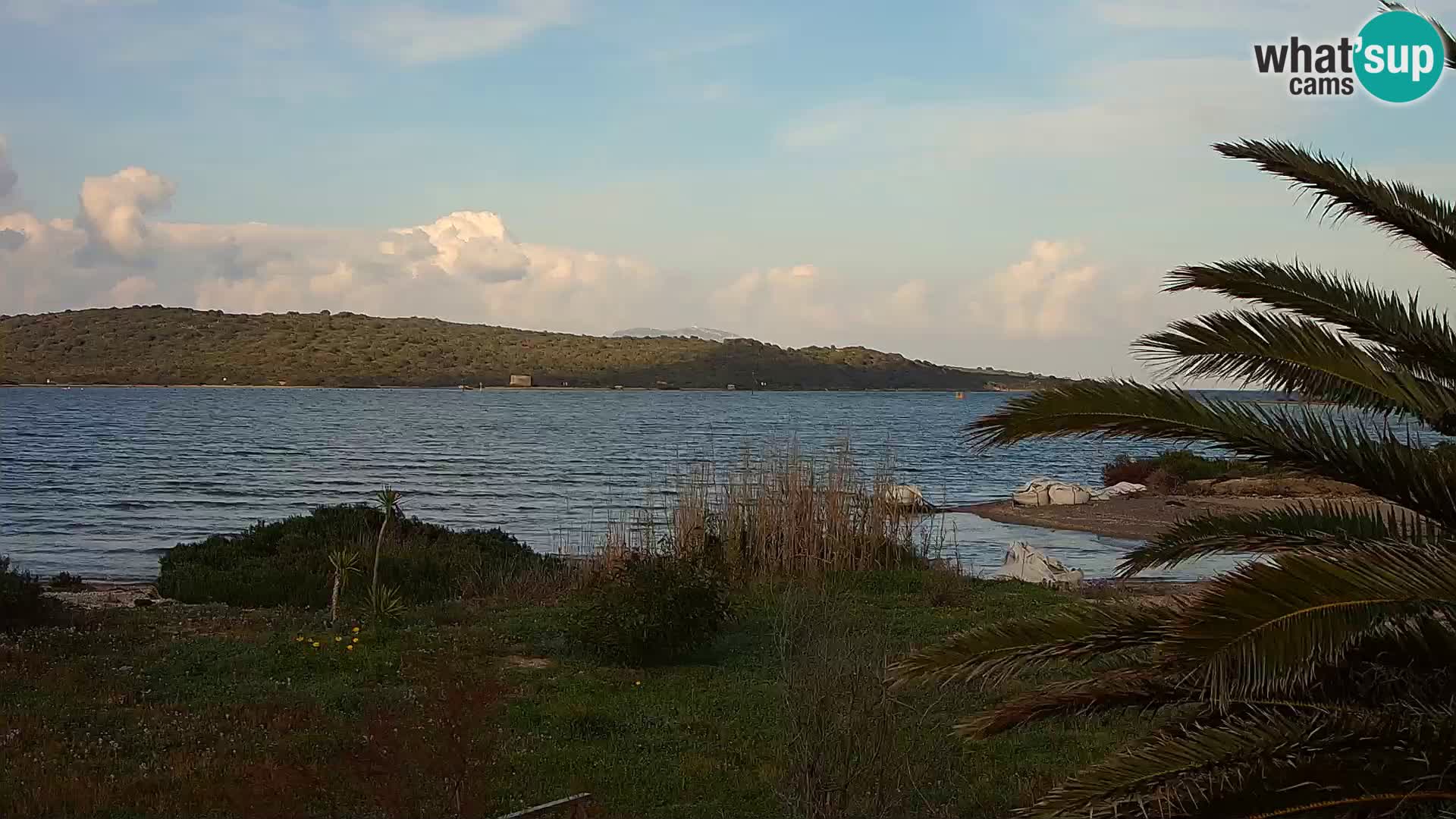 Spletna kamera pristanišče Olbia – vhod v pristanišče Olbia