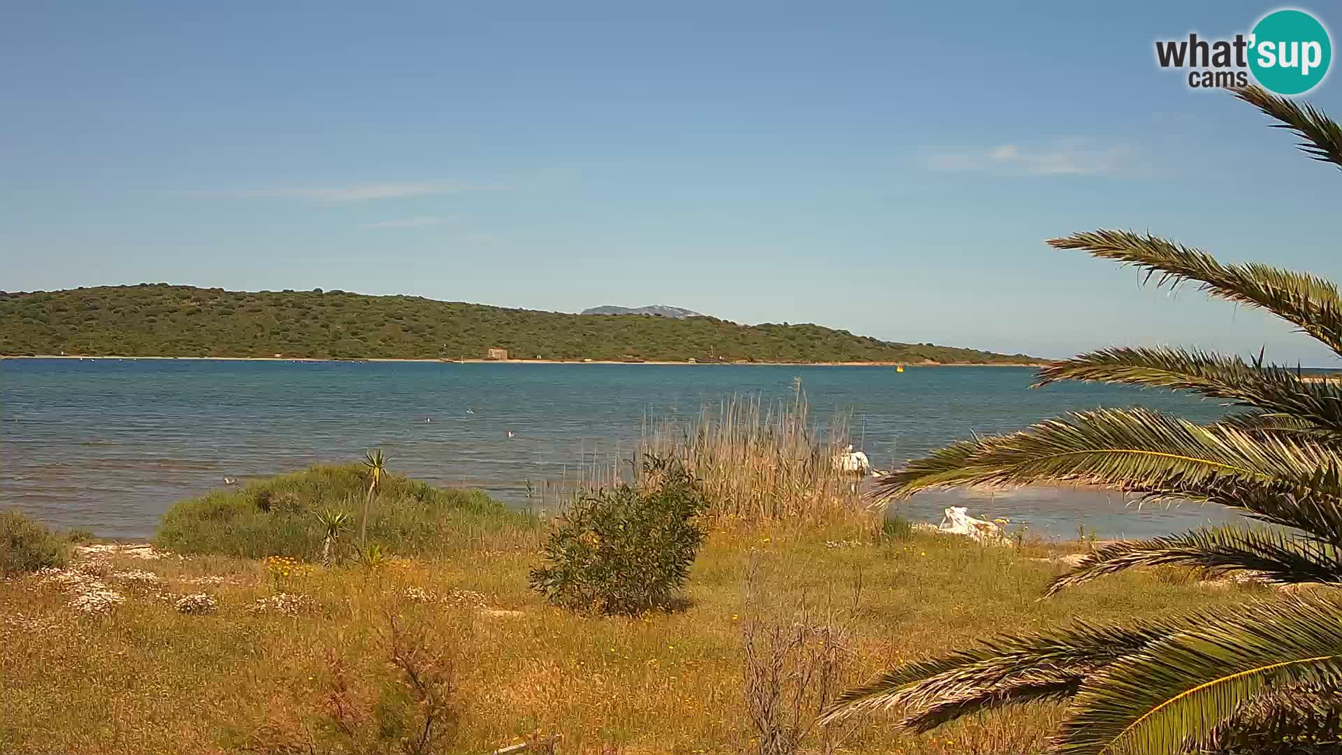 Webcam Olbia port – entrance to the port of Olbia