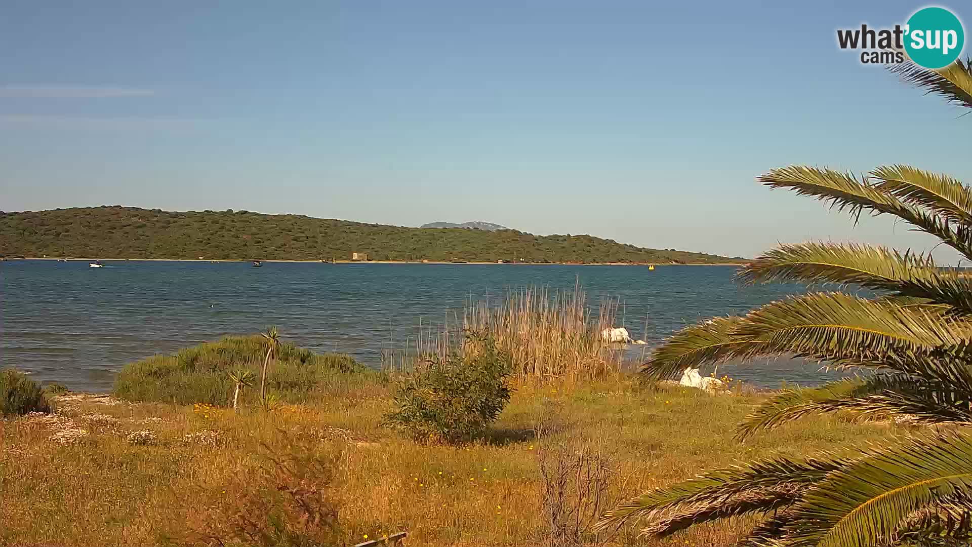 Webcam porto di Olbia – entrata nel porto di Olbia