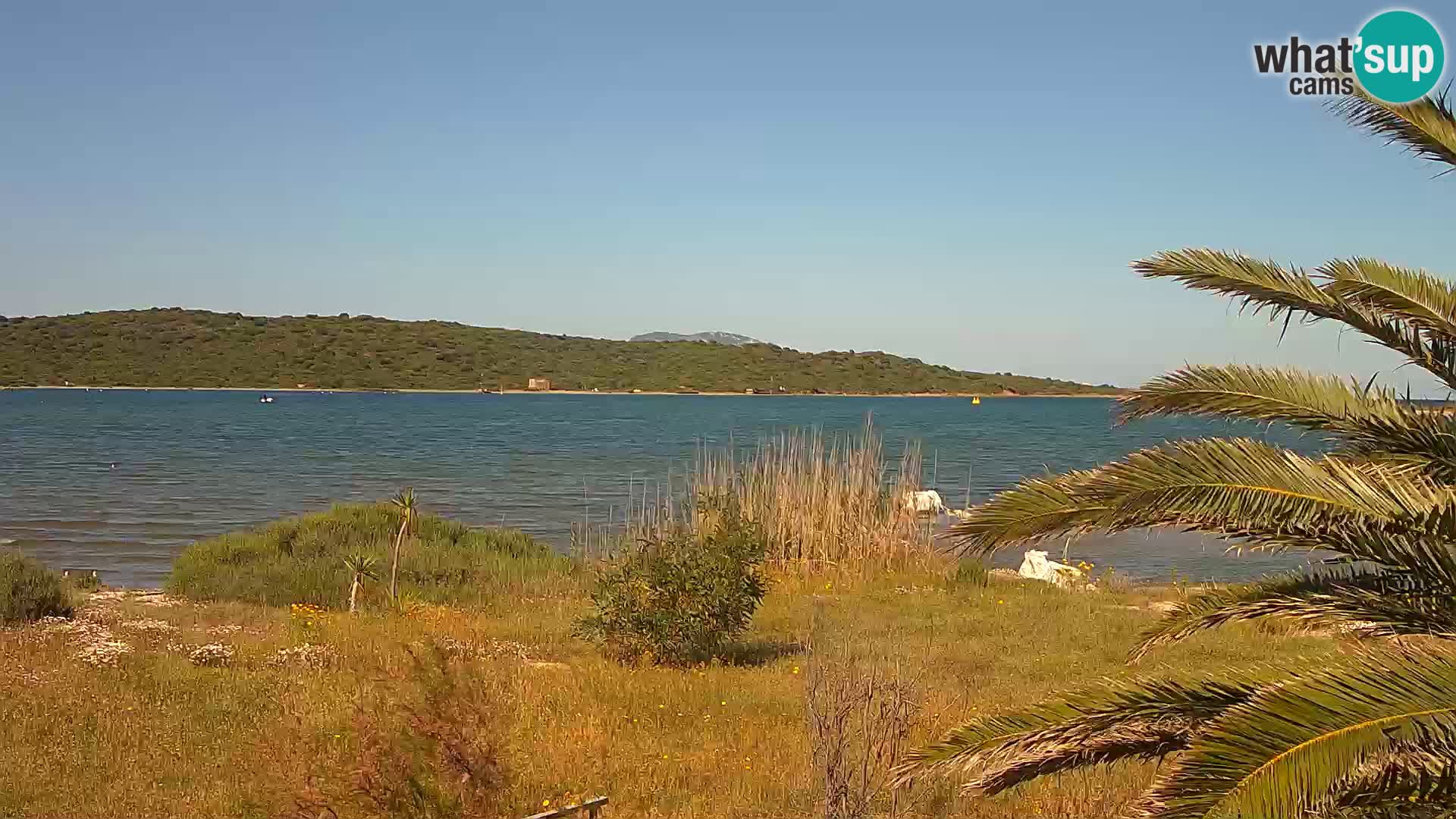 Webcam porto di Olbia – entrata nel porto di Olbia