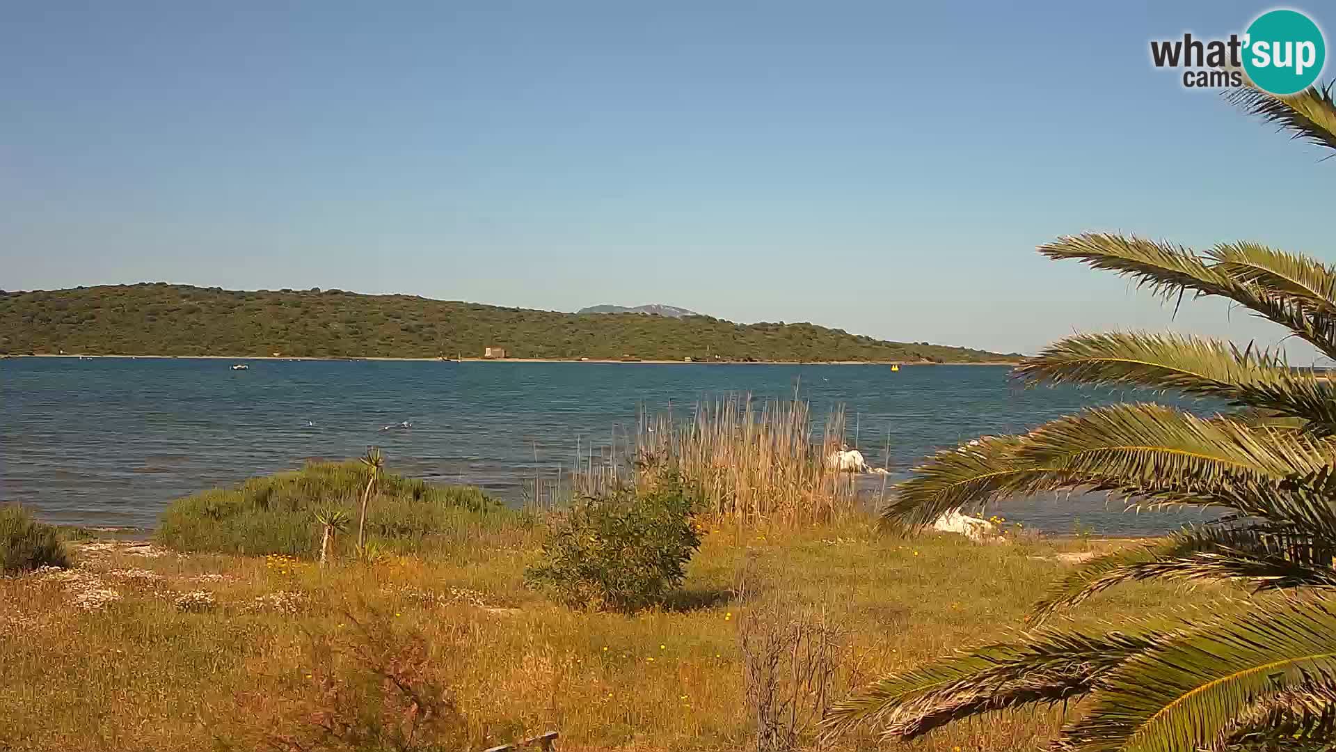 Web kamera Olbia luka – ulaz u luku Olbia