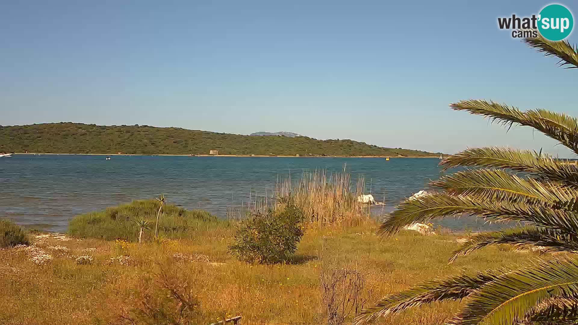 Webcam port d’Olbia – entrée du port d’Olbia