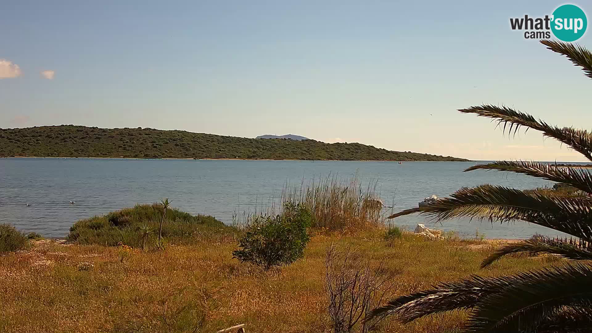 Webcam porto di Olbia – entrata nel porto di Olbia