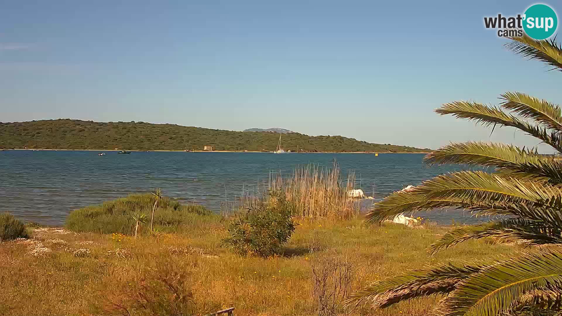 Camera web puerto de Olbia – entrada al puerto de Olbia