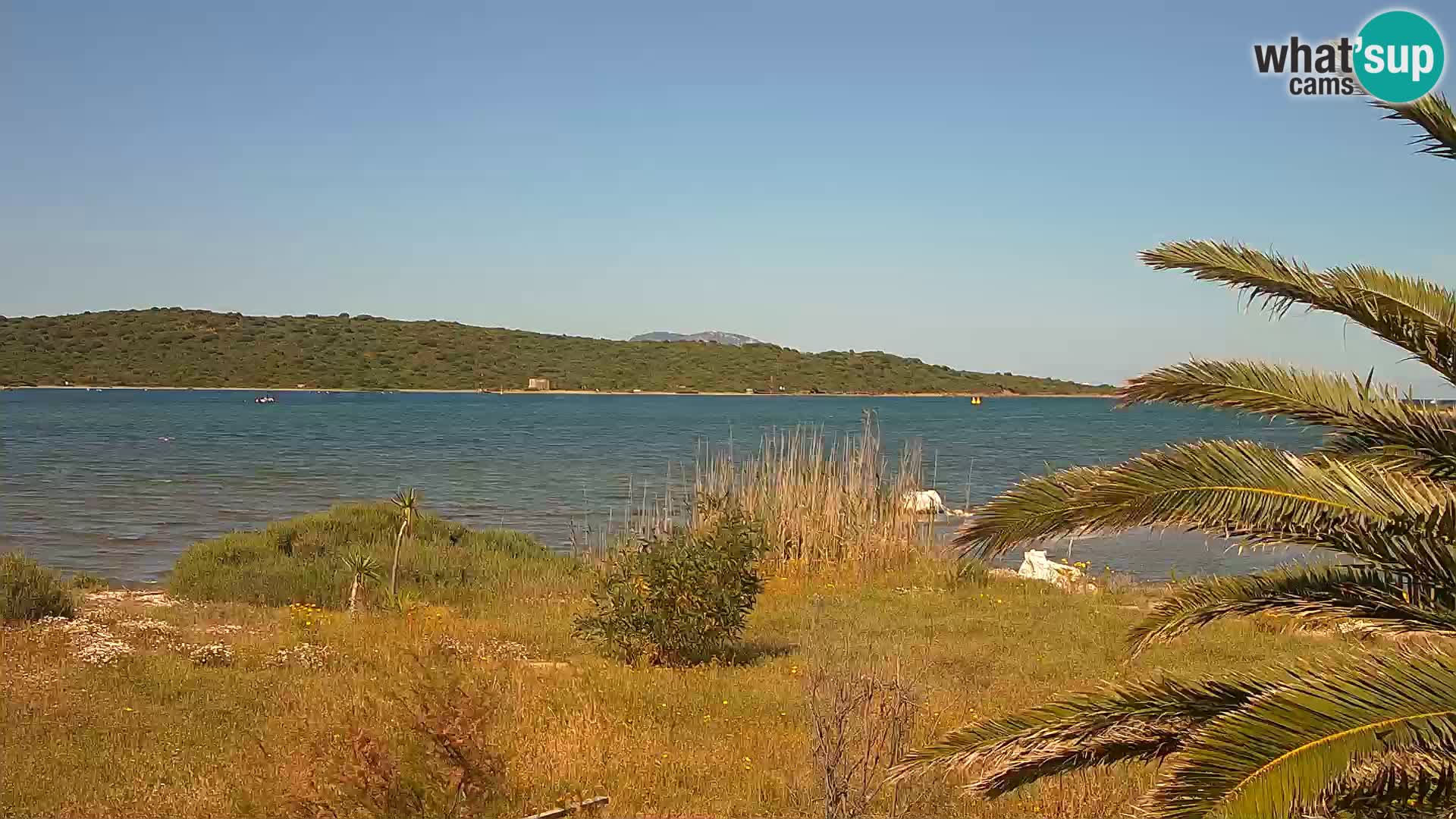 Webcam porto di Olbia – entrata nel porto di Olbia