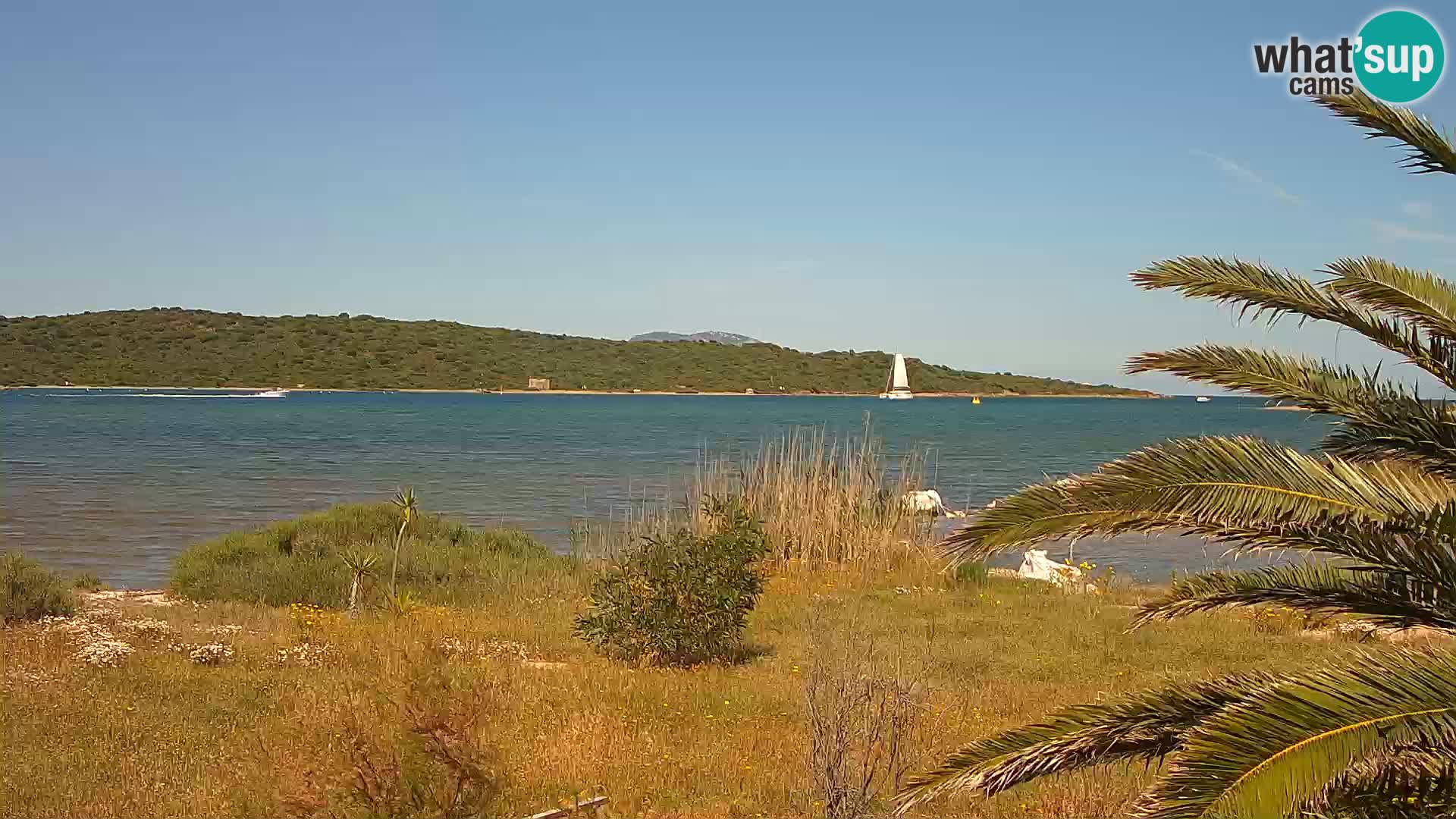 Webcam Hafen Olbia – Eingang zum Hafen von Olbia