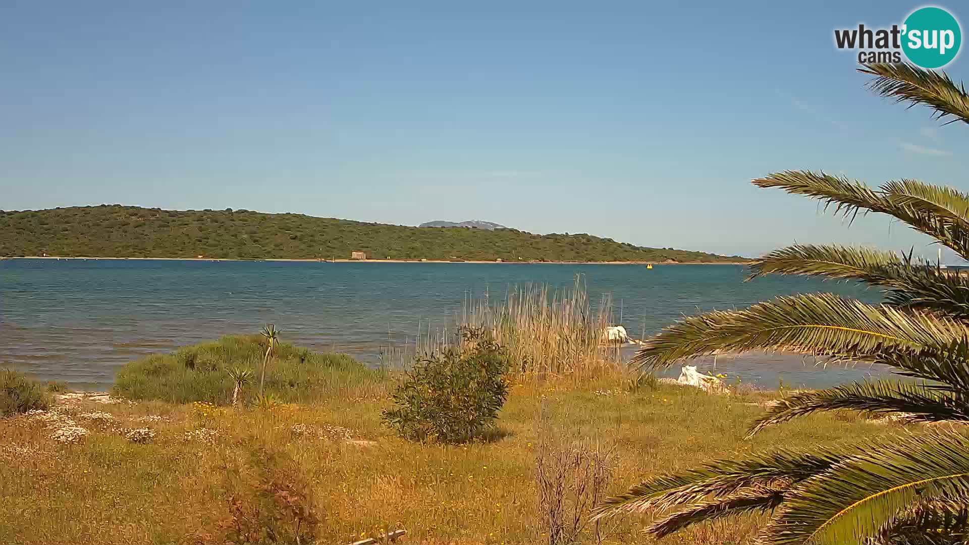 Webcam Olbia port – entrance to the port of Olbia