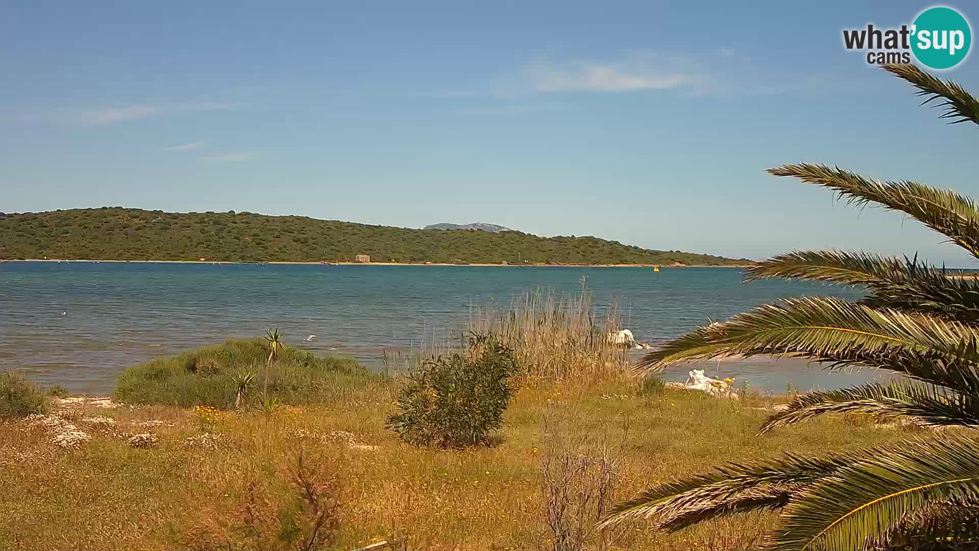 Webcam porto di Olbia – entrata nel porto di Olbia