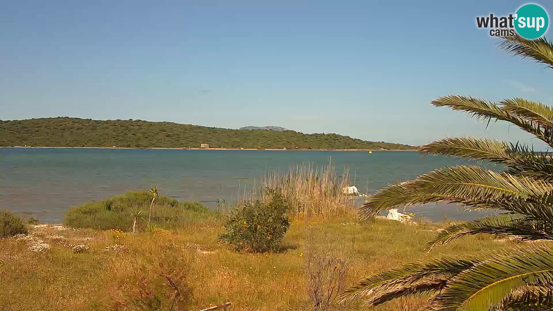 Webcam Olbia port – entrance to the port of Olbia