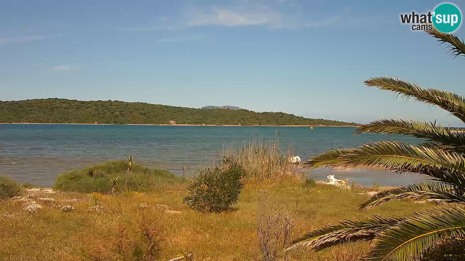Webcam Olbia port – entrance to the port of Olbia