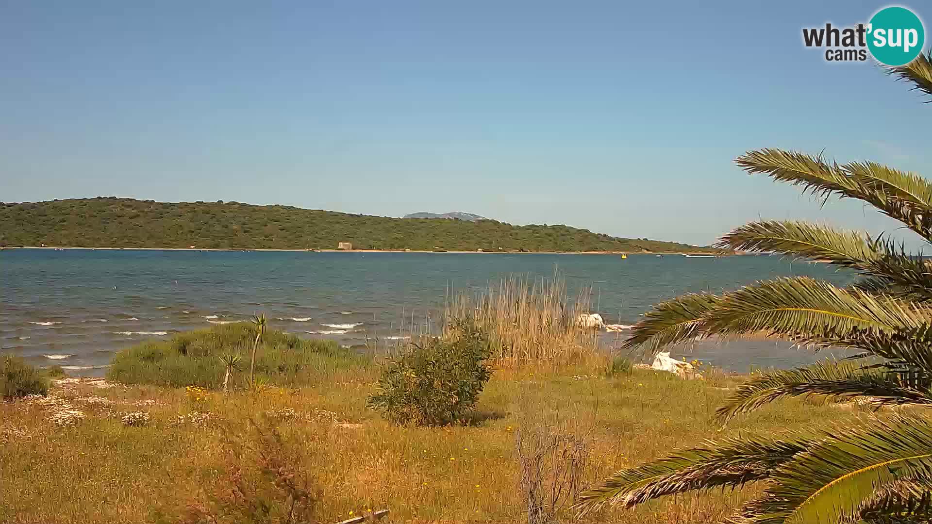 Webcam port d’Olbia – entrée du port d’Olbia