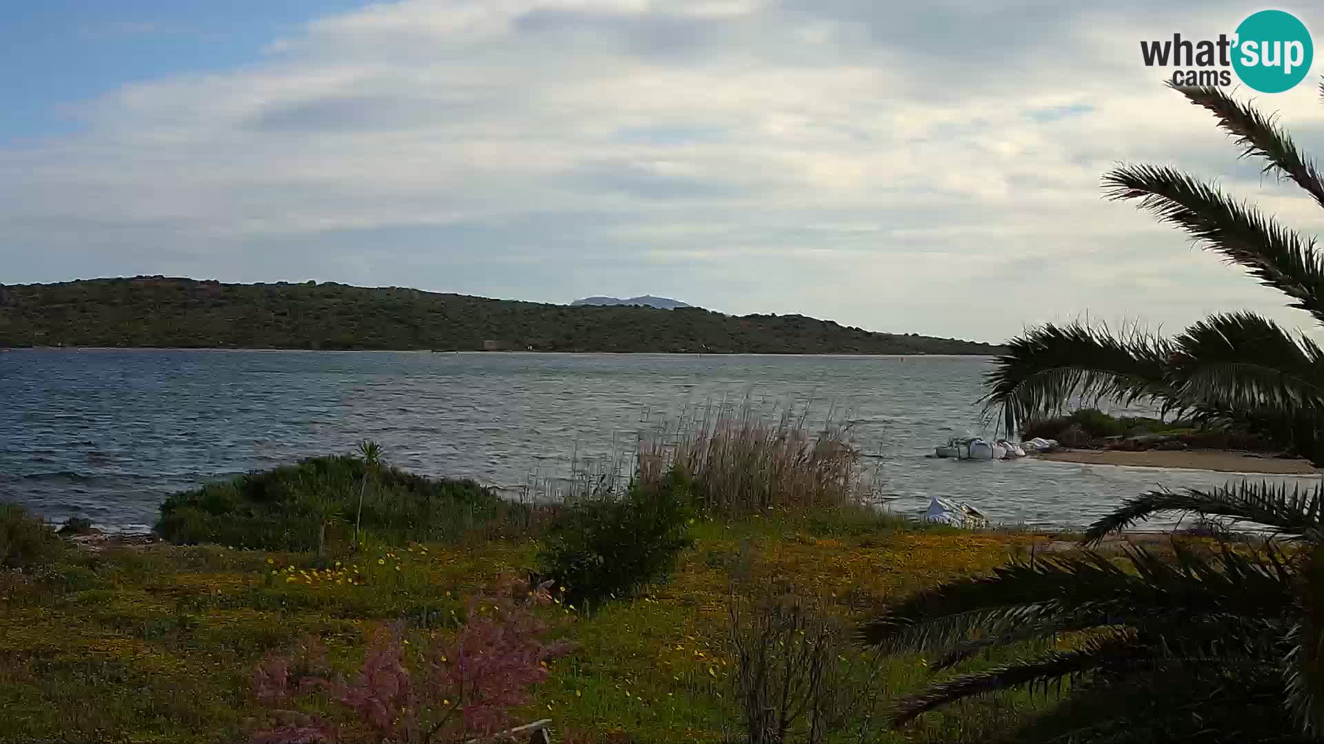 Camera web puerto de Olbia – entrada al puerto de Olbia