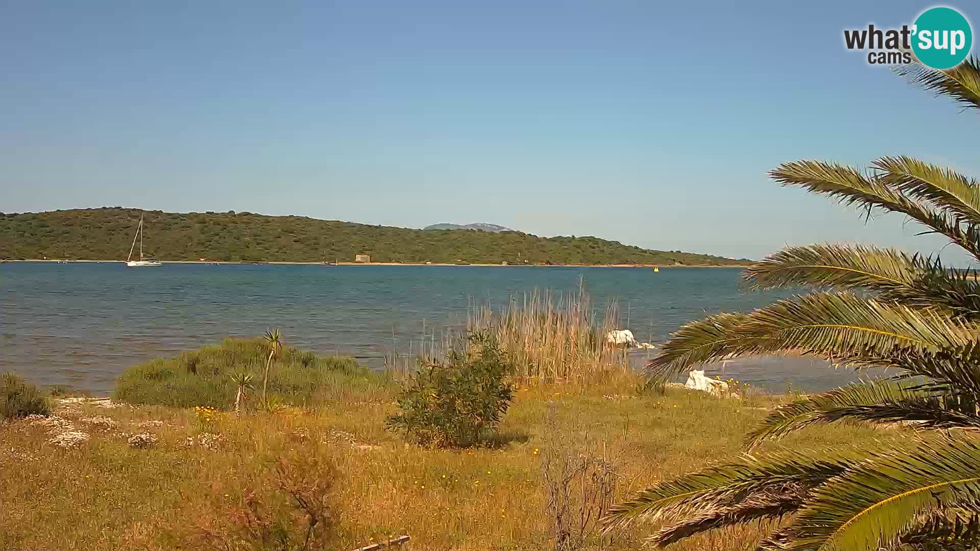 Webcam Olbia port – entrance to the port of Olbia
