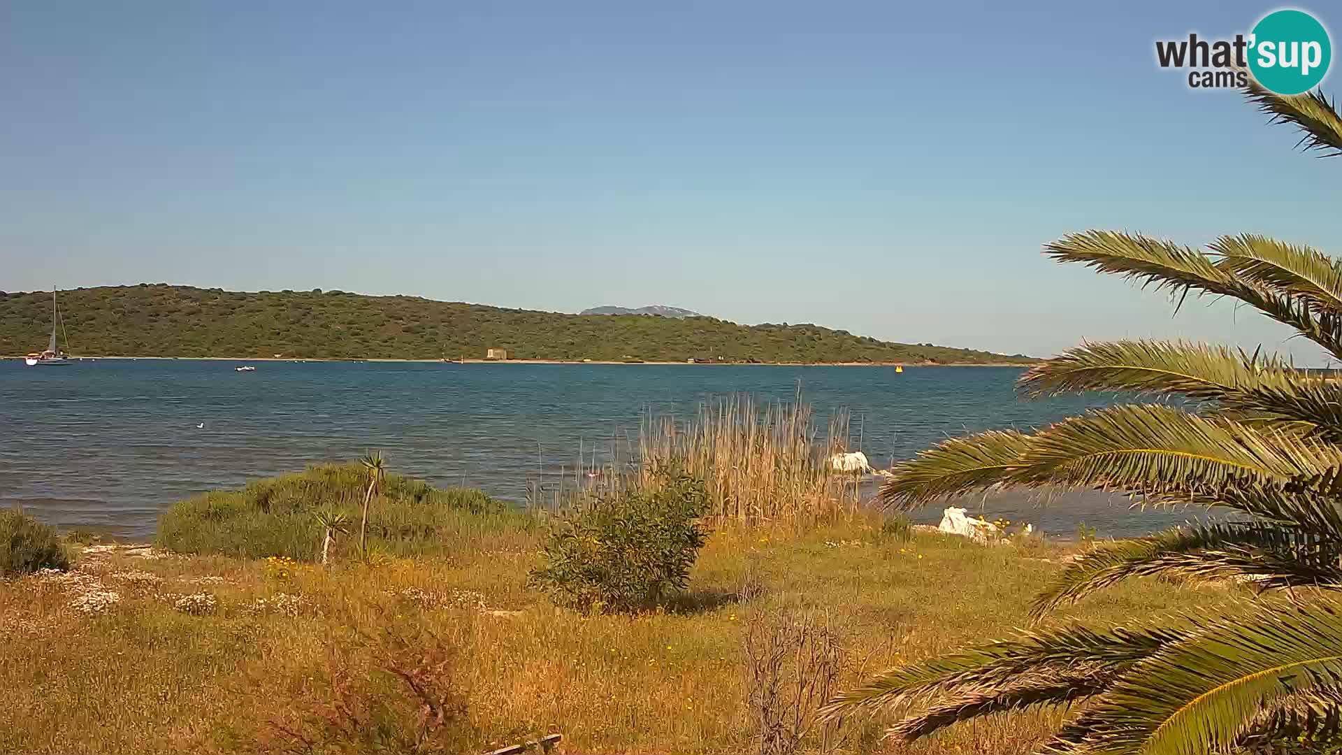Spletna kamera pristanišče Olbia – vhod v pristanišče Olbia
