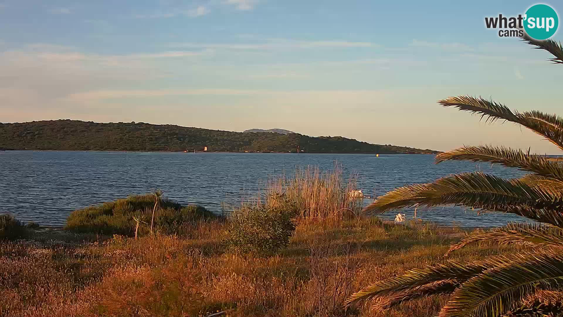 Webcam Olbia port – entrance to the port of Olbia