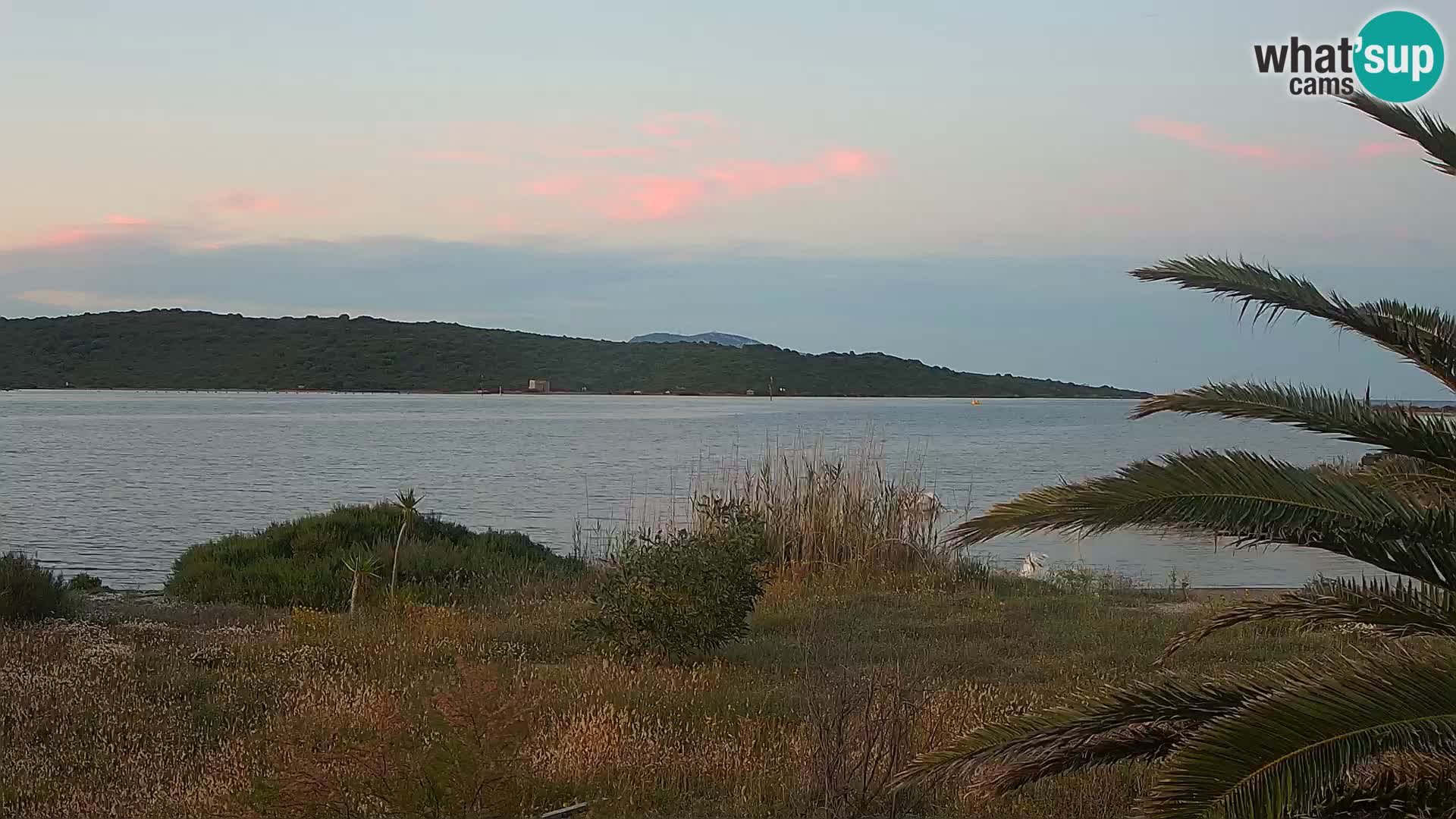 Webcam Olbia port – entrance to the port of Olbia