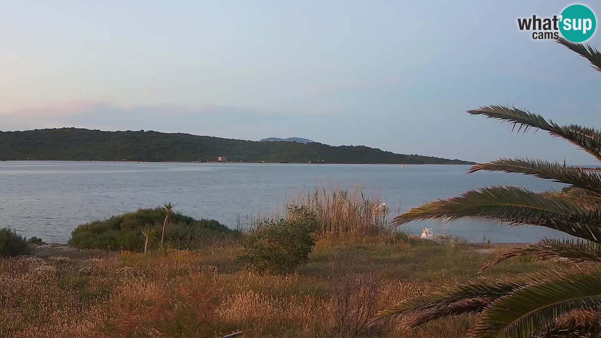 Webcam Olbia port – entrance to the port of Olbia