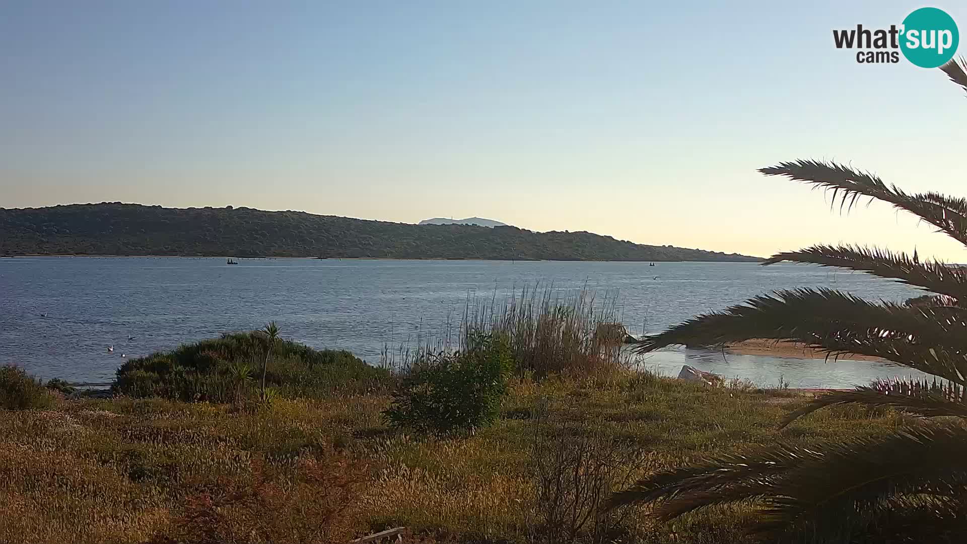 Webcam porto di Olbia – entrata nel porto di Olbia