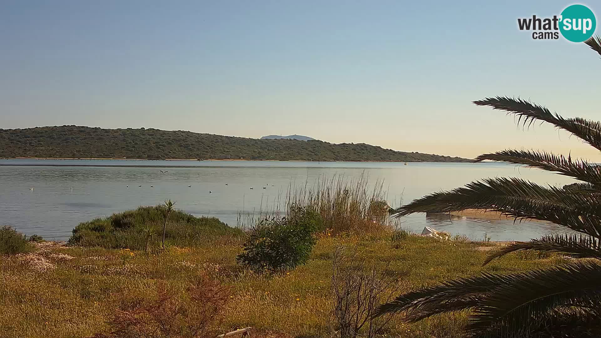 Webcam port d’Olbia – entrée du port d’Olbia