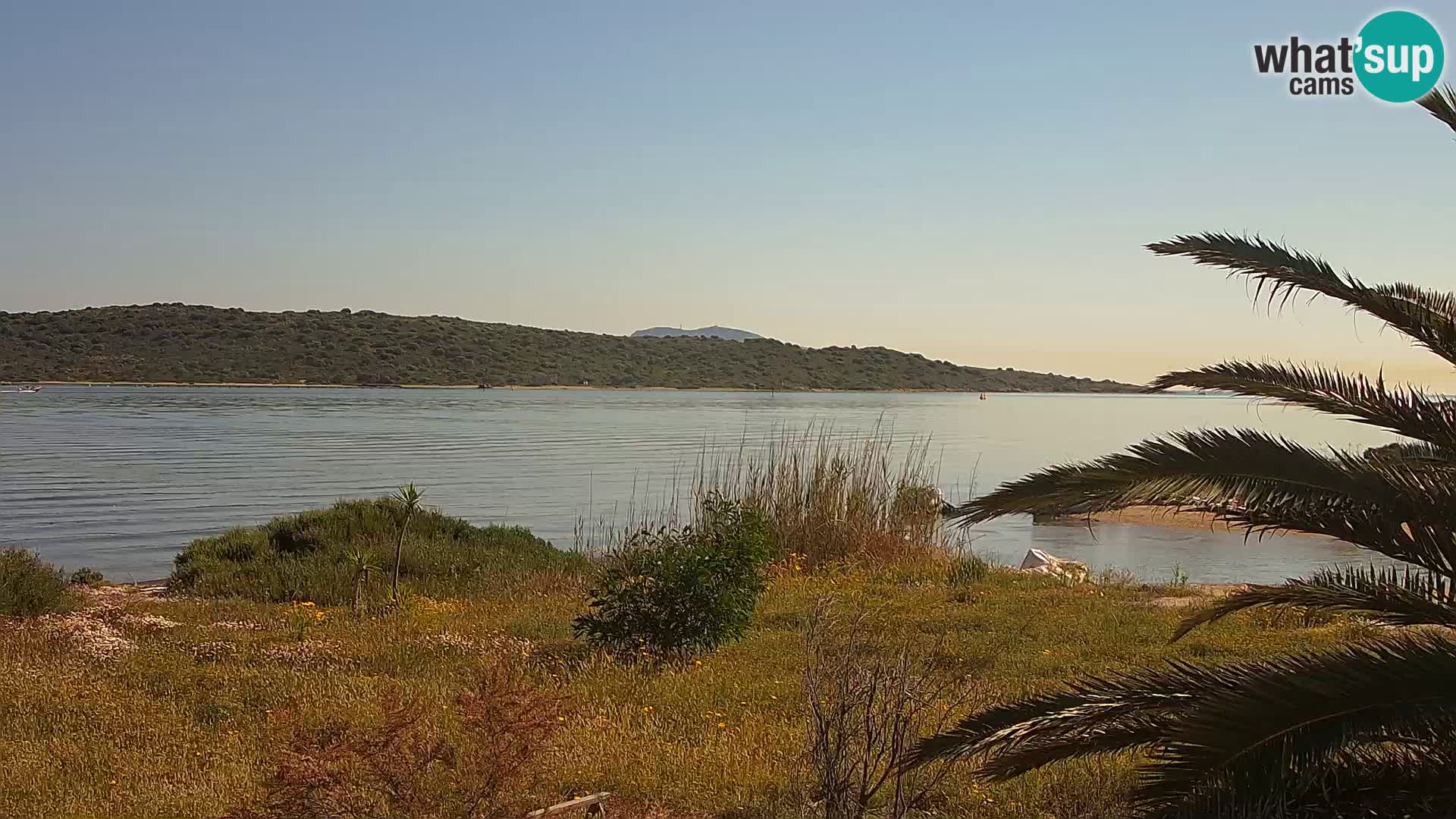 Webcam Olbia port – entrance to the port of Olbia