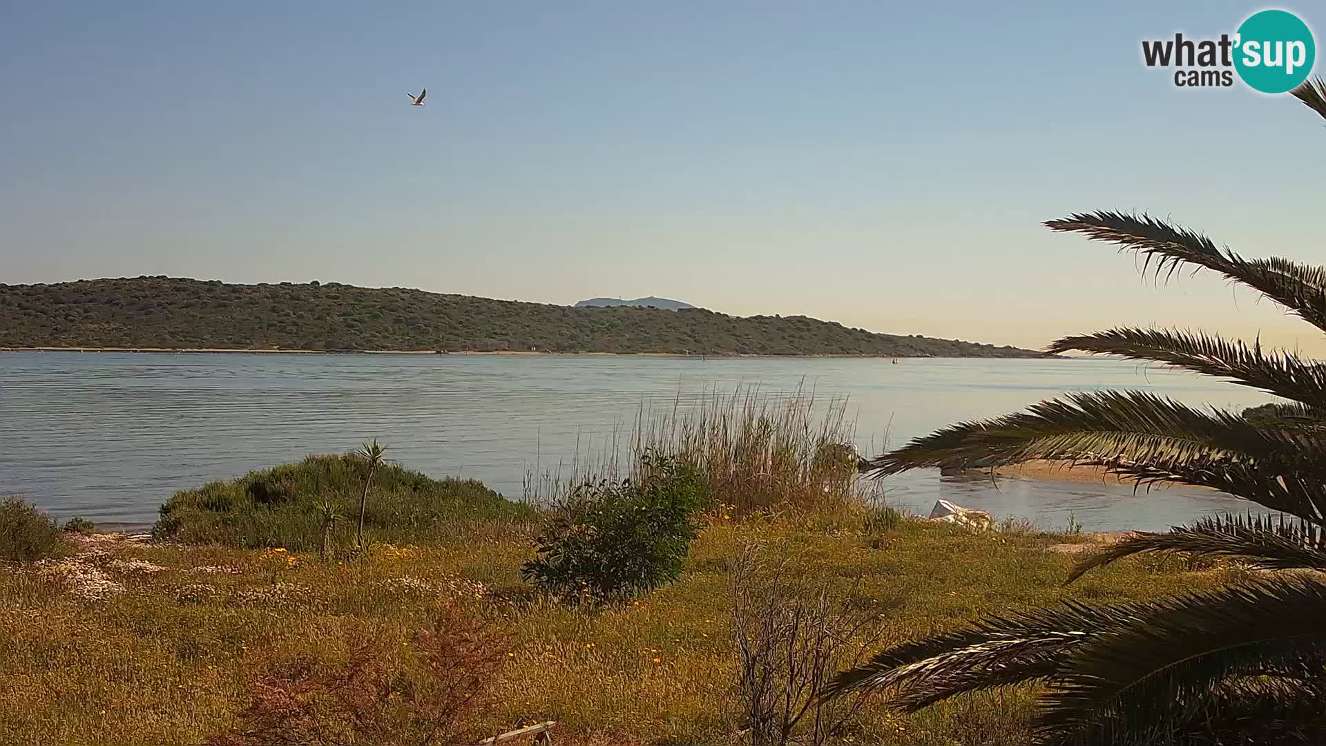 Webcam Olbia port – entrance to the port of Olbia