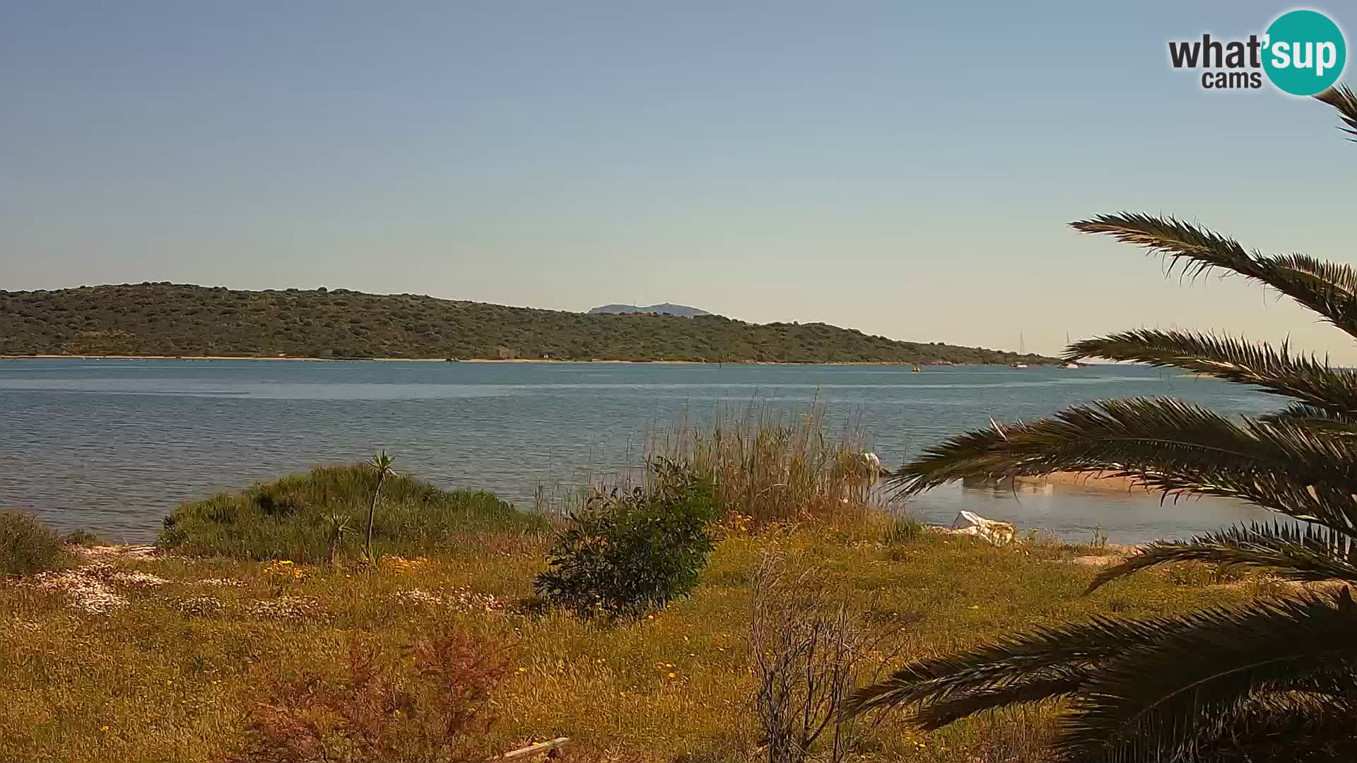 Webcam Hafen Olbia – Eingang zum Hafen von Olbia