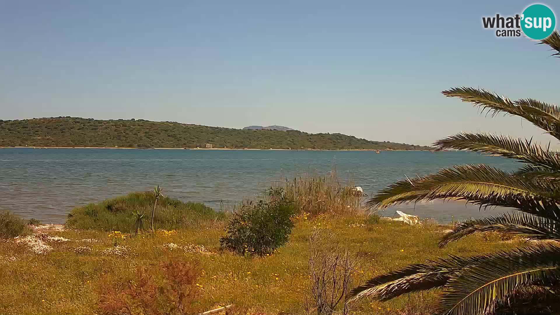 Webcam porto di Olbia – entrata nel porto di Olbia